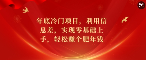 年底冷门项目，利用信息差，实现零基础上手，轻松赚个肥年钱【揭秘】-好资源网