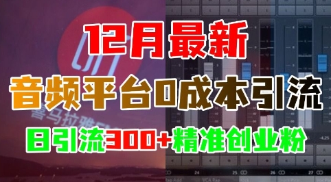 12月最新：音频平台0成本引流，日引流300+精准创业粉-好资源网