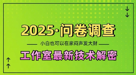 2025问卷调查最新工作室技术解密：一个人在家也可以闷声发大财，小白一天2张，可矩阵放大【揭秘】-好资源网