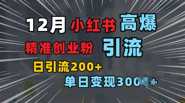 小红书一张图片“引爆”创业粉，单日+200+精准创业粉 可筛选付费意识创业粉【揭秘】-好资源网