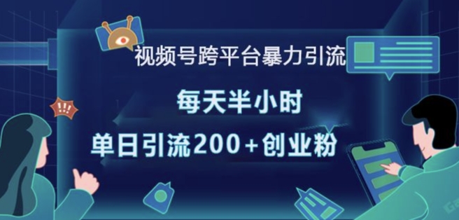 视频号跨平台暴力引流，每天半小时，单日引流200+精准创业粉-好资源网